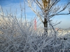 Winterwonderland-38
